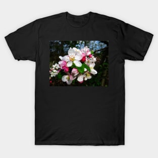 Dew Sprinkled Crabapple Blossoms T-Shirt